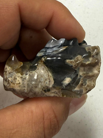 Dragon Head Carving 2" Inch