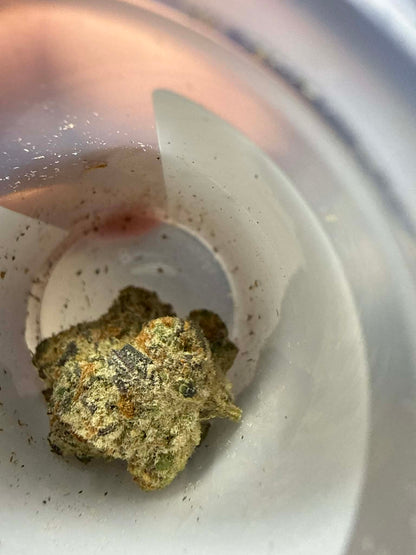 Cobra Flower 3.5gr THcA