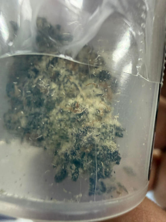 Cobra 1gr THCA Flower, StashBoxx Sativa