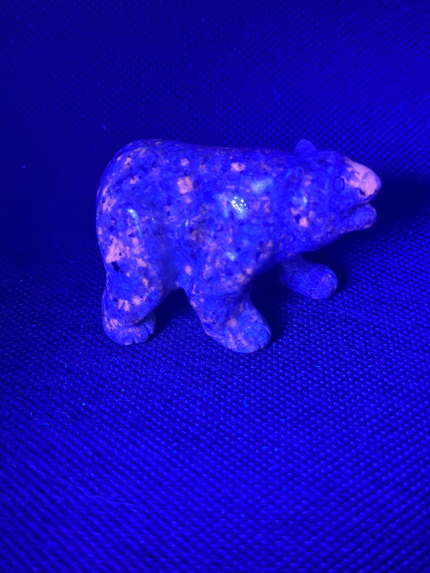 Yooperlite Bear