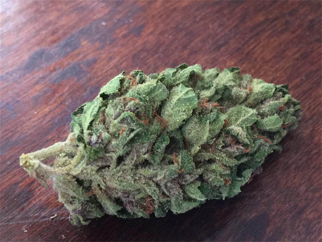 Blanco Chapo Extrax Flower Packs